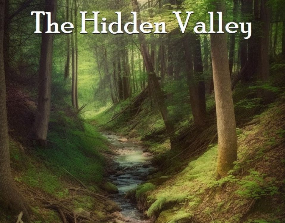 The Hidden Valley by Christine Hillingdon
